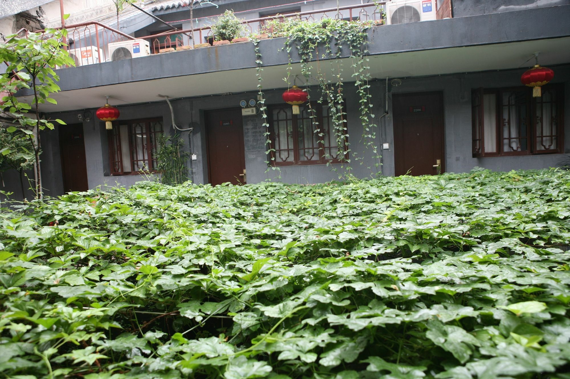 Shuyuan Youth Hostel Xi'An Xi'an  Exterior photo